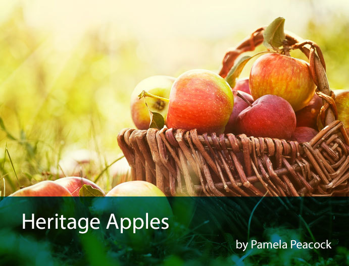 heritage-apples
