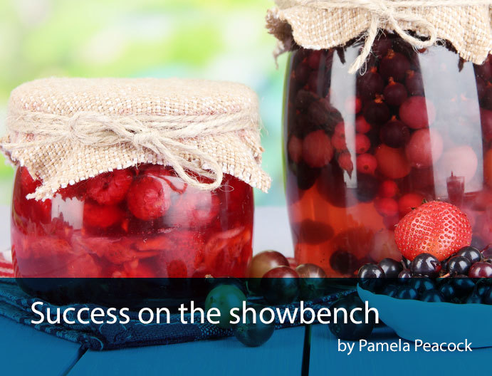 success-on-the-showbench