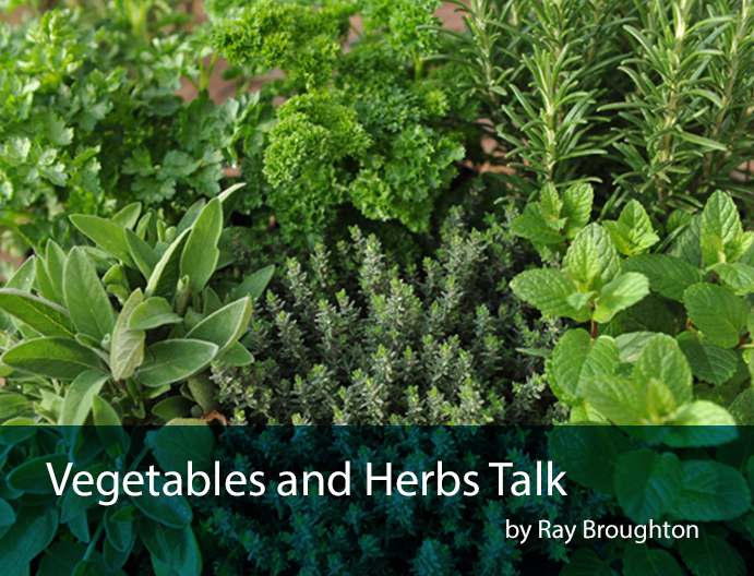Veg and herbs talk