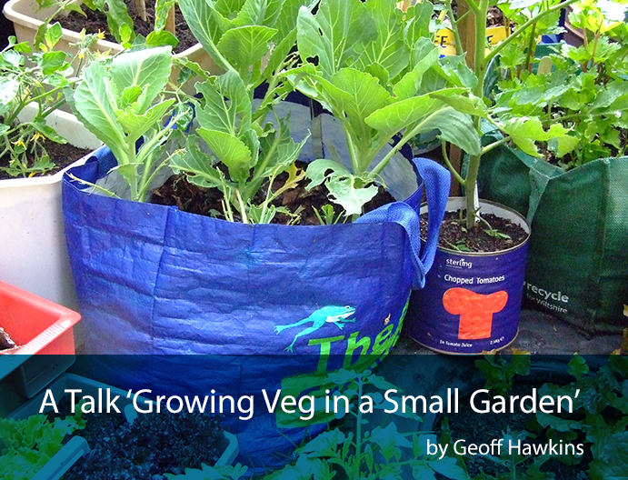 growing veg in a small garden