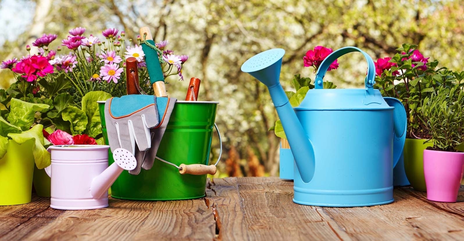 gardening tools