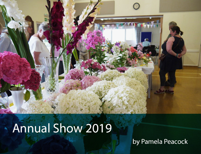 Annual show 2019