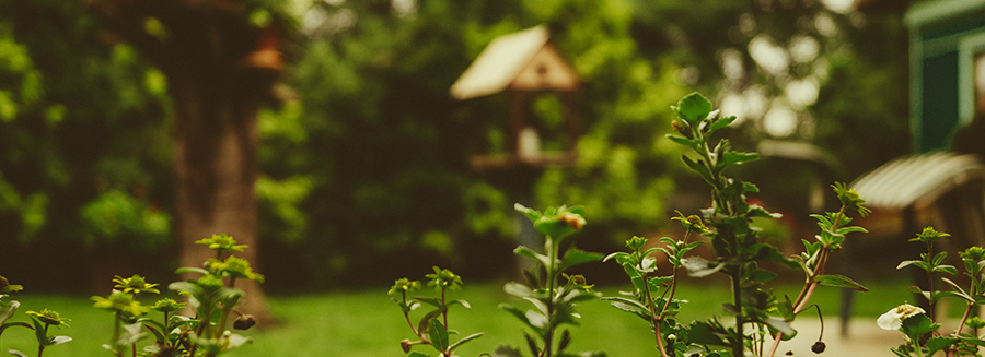 open garden